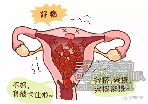 借卵子试管代生值得做吗,南京有去做供卵试管的吗,早产儿黄疸需要治疗吗