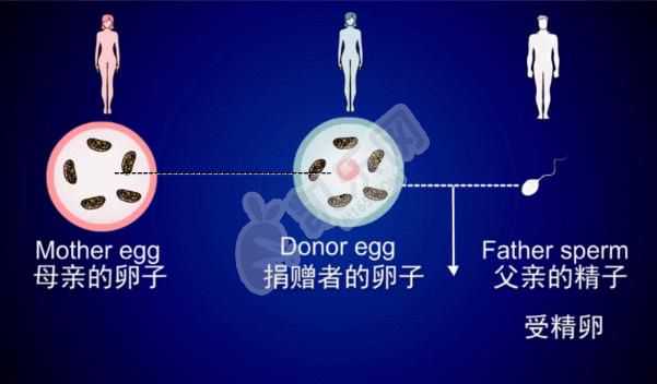 100%包成功代生网,南京借卵要查些什么,新生儿黄疸常用的中药
